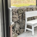 조가물민박 이미지