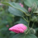 잠실공원 이미지