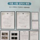 베베시아 돌고래 필터샤워기 사용 후기
