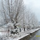 전동초등학교 이미지