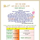 고감도어린이집 Daum카페