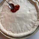 펫마트남원점 | 벚꽃이 흩날리는 구례·하동 (애견동반여행)