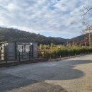 채동천 | 천안 아산 평택 노지캠핑 북면 은석교 취사가능 화장실 편리 강가뷰