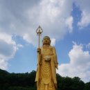 미타사 - 1539 | 미타사
