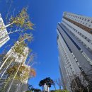 감일더샵시티공인중개사사무소 이미지