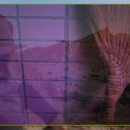 한글약국 이미지