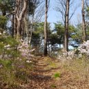 둘레길펜션청솔 이미지