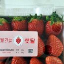 애향어린이집 | 2025 | 일이월 일상 갈무으리