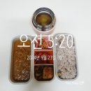 오늘카레 이미지