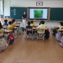 공주교육대학교부설초등학교 이미지