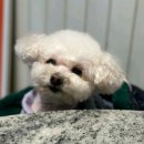 발안종합동물병원 이미지