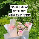 리플라워 - 강남구 언주로98길 35-7 | 리플라워