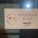 퍼피포레스트 이미지