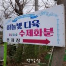하늘빛다육