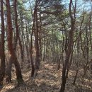 죽바위로 이미지