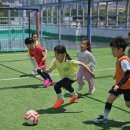 활기찬 태권도 이미지