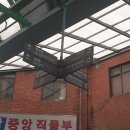 [블챌]7월 2주차 주간일기 -광장시장 처음 가본 후기 부촌육회 박가네빈대떡 자선네 떡볶이