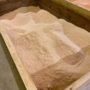 생생생공화국 이미지