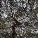 화양동관광농원 이미지