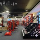 발리휘트니스 이미지