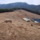 송조농원 이미지