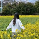 삼달신풍로 이미지