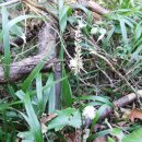 창훈목장 이미지