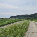 이천1리 이미지