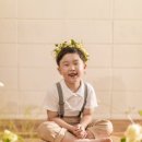 로하스플라워
