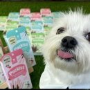 두두펫케어 이미지