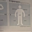 바디팰리스짐 이미지