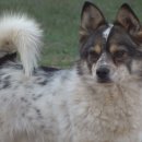 고니농장 이미지