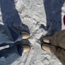 고산예쁜집 | 강원도 평창 가볼만한 곳 실버벨 교회, 대관령 하늘목장 영하 17도 느껴본 고산지대 추위