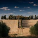 하늘누에 이미지