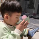 한닢김밥 이미지