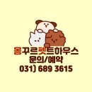 군포유치원 이미지