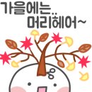 모현동미용실 이미지