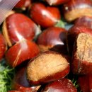 천혜농장 이미지