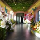 천전동6 이미지