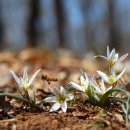 월정축산 이미지