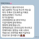 메이인셀덤
