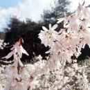 미선축산 뉴스1