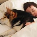 아기강아지 이미지