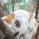 장미빵집 이미지
