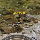 성황림마을 이미지