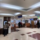 종합운동장내 수영장 | 성남 분당 50m풀 <탄천종합운동장 수영장> 토요일 자유수영 후기(26년 2월 임시휴장)