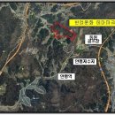 반려동물 테마파크 이미지