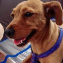 버스승강장 앞 이미지