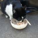 형제모터스 이미지