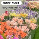 꽃꽂이(야간) | [당진 꽃다발] 내돈내산 7월 필랑 말랑 무인 꽃집 솔직 후기